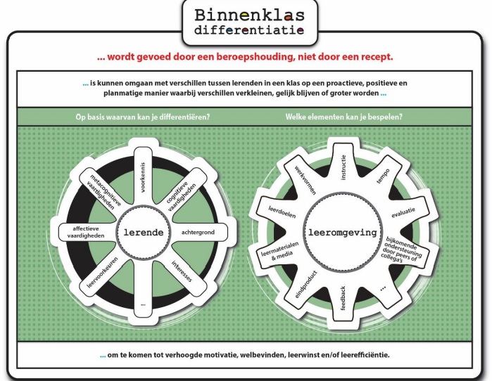 Conceptueel kader voor binnenklasdifferentiatie